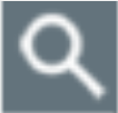 Search Icon